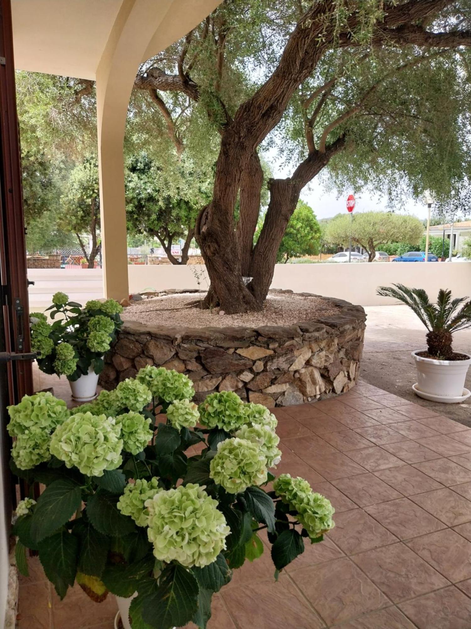 Bed and Breakfast Mivida "Le Stanze Di Ada" San Teodoro  Exterior foto